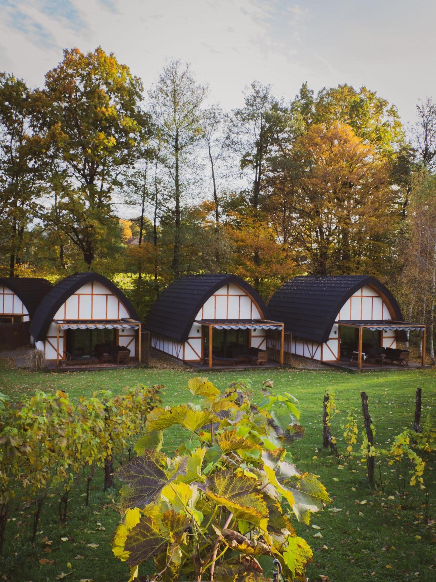 Hotel Sen i Wino Żywiec Exterior foto